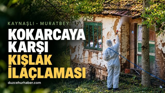 Düzce'de kahverengi kokarcaya karşı kışlak ilaçlaması yapıldı