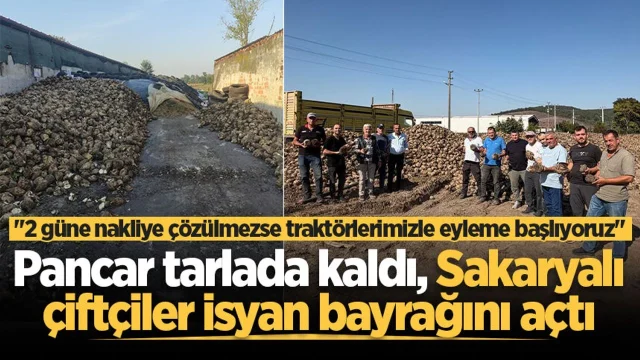 Pancar tarlada kaldı, Sakaryalı çiftçiler isyan bayrağını açtı: "2 güne nakliye çözülmezse traktörlerimizle eyleme başlıyoruz"