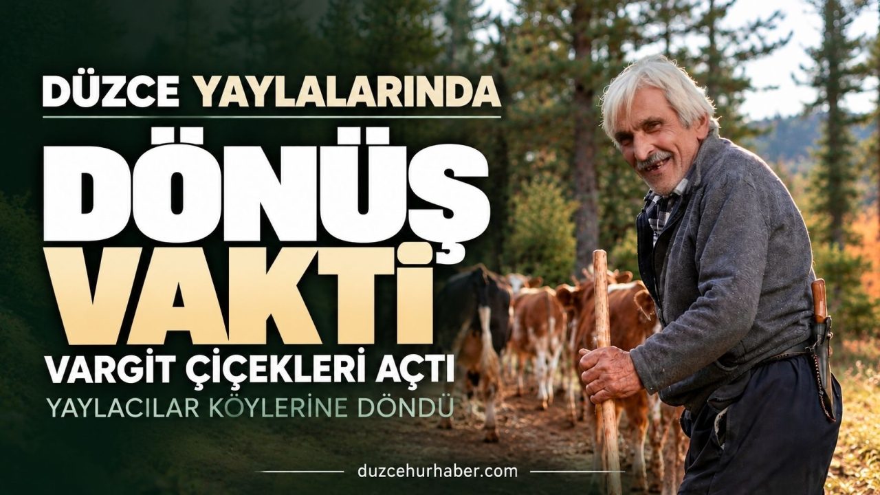 Düzce yaylalarında dönüş vakti: Vargit çiçekleri açtı, yaylacılar köylerine döndü