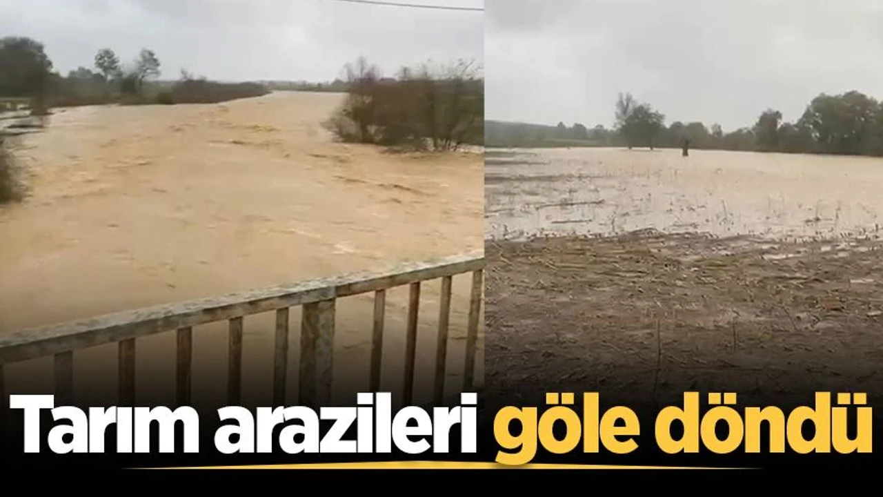 Sakarya’da sağanak alarmı! Tarım arazileri göle döndü