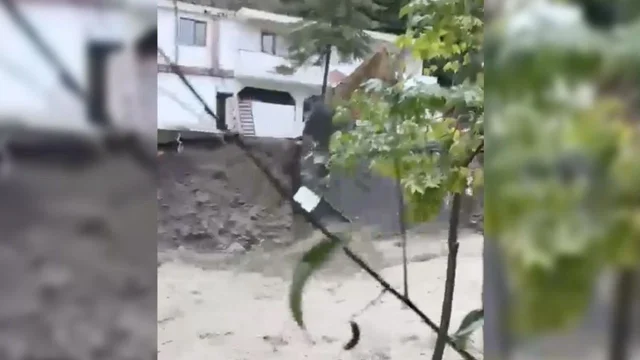 Sel suları kamelyayı yuttu