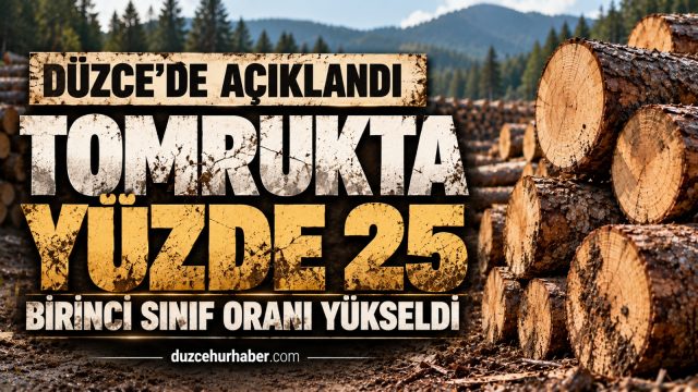 Düzce'de açıklandı: Birinci sınıf tomruk oranı yüzde 25'e yükseldi