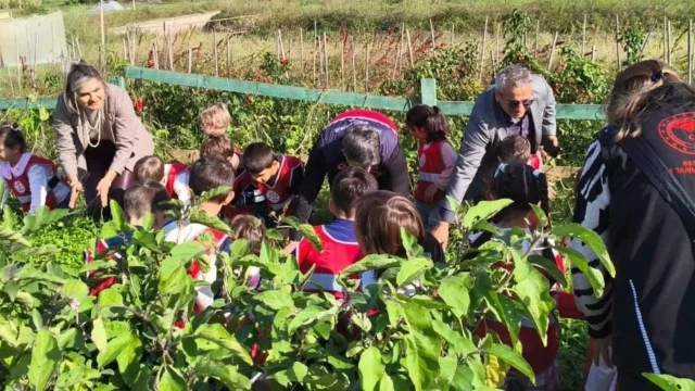 Minik öğrenciler tarımla tanıştı