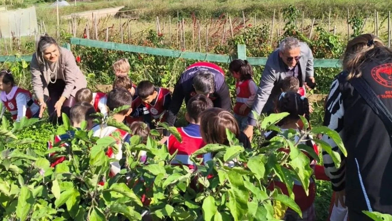Minik öğrenciler tarımla tanıştı