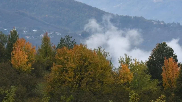 Dikmen Yaylası sonbaharın renklerine büründü