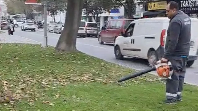 Büyükşehir'den sonbahar temizliği