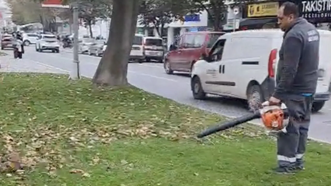 Büyükşehir'den sonbahar temizliği
