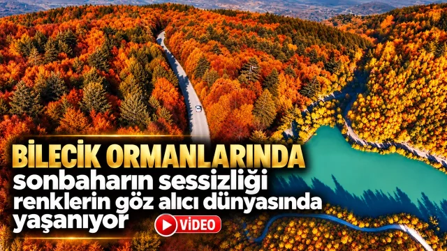 Bilecik ormanlarında sonbaharın sessizliği renklerin göz alıcı dünyasında yaşanıyor