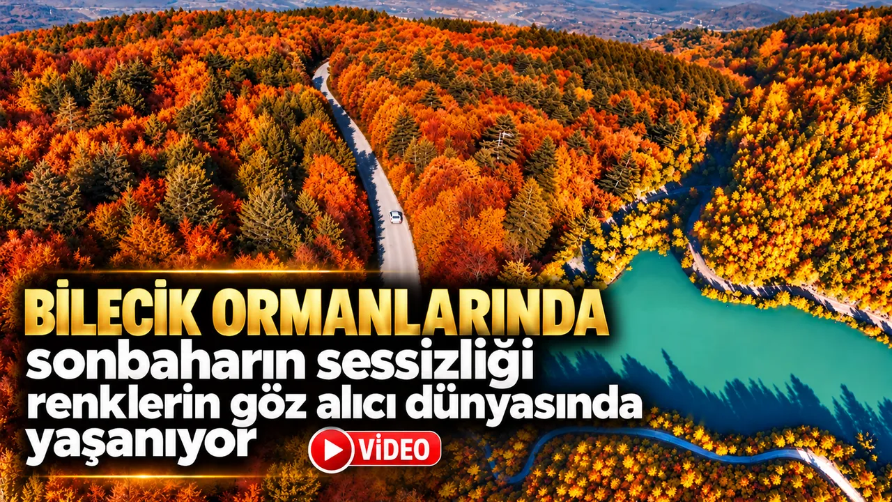 Bilecik ormanlarında sonbaharın sessizliği renklerin göz alıcı dünyasında yaşanıyor