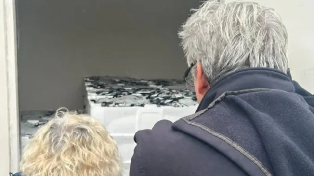 Belgesiz hamsi taşırken yakalandı