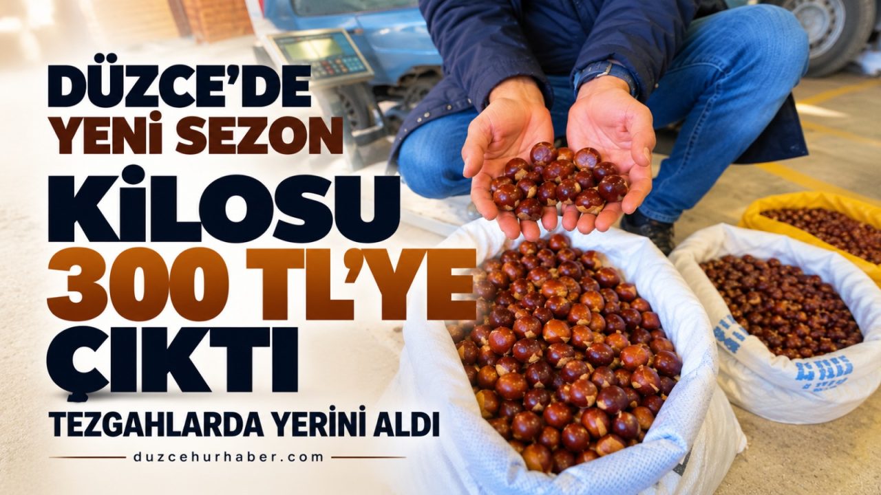 Düzce’nin meşhur kestanesi pazara indi: İlk fiyat 200 TL’den başlıyor