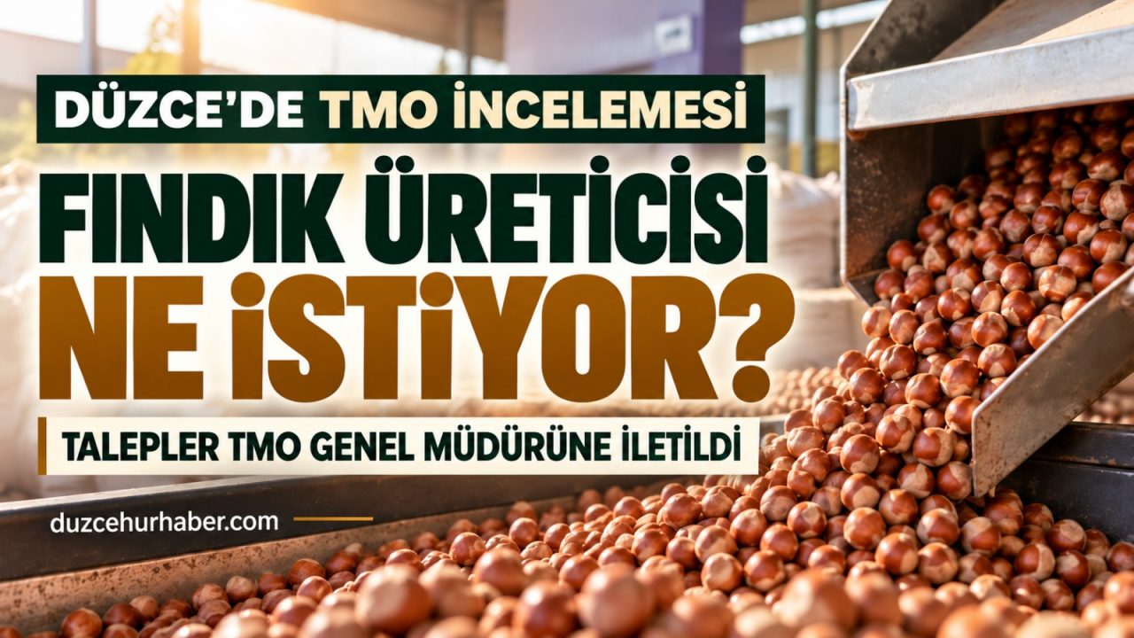 TMO Genel Müdürü Düzce’de fındık alımlarını inceledi! Üreticinin talepleri masada