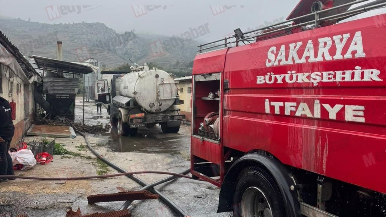 Geyve’de tavuk çiftliği yandı! Diğer kümeslere sıçramaması için ekipler harekete geçti!