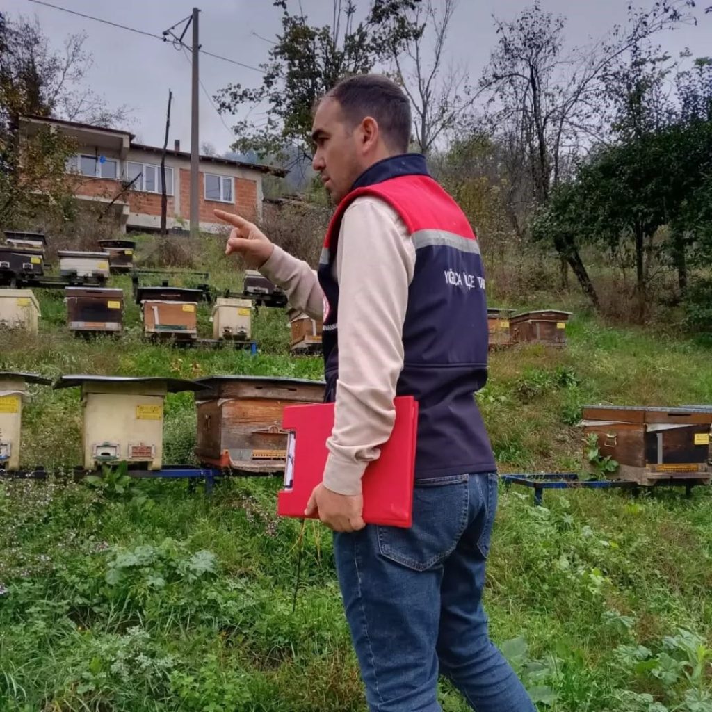 yigilcanin-4-koyunde-arili-kovanlar-tek-tek-sayildi-1-072954