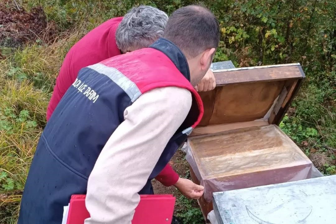 Yığılca’nın 4 köyünde arılı kovanlar tek tek sayıldı