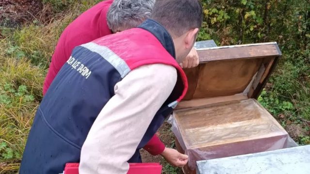 Yığılca’nın 4 köyünde arılı kovanlar tek tek sayıldı